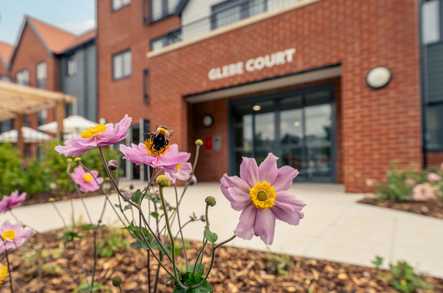Glebe Court Romsey - Retirement Living