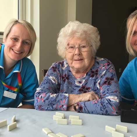 The Lawns Nursing Home - Care Home