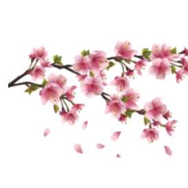 Cherry Blossom Care Home - Care Home