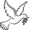 Olive Home Care & Support_icon