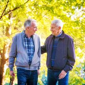 Clifton Homecare Limited - Home Care