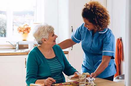 Colwell Court (Domicillary Care) - Home Care