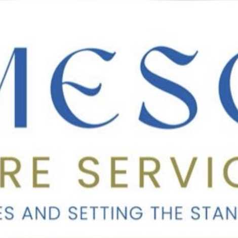 Emeson Care - Home Care