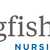 Kingfisher Nursing Home - Care Home