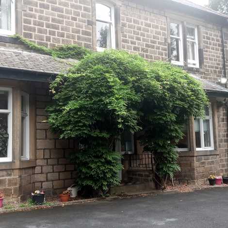 Lindisfarne Care Home Limited - Care Home