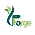 The Forge Support Services Ltd