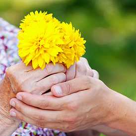 Maisy Care at Home Ltd - Home Care