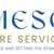 Emeson Care Services - Home Care