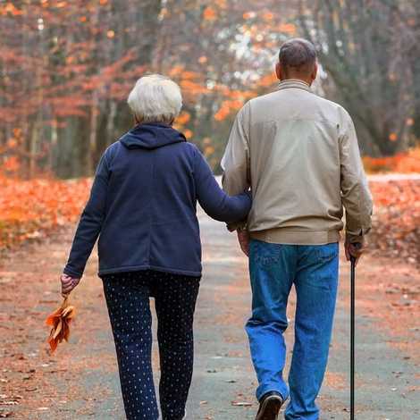 Tender Heart Healthcare Ltd - Home Care