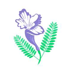 Bloom Lilly Healthcare Limited