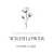 Wildflower Home Care Ltd - Home Care