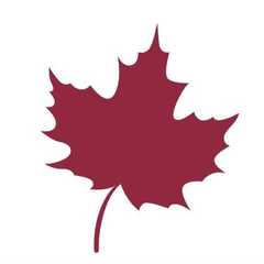 Maplewood Independent Living Limited