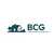 BCG -  logo