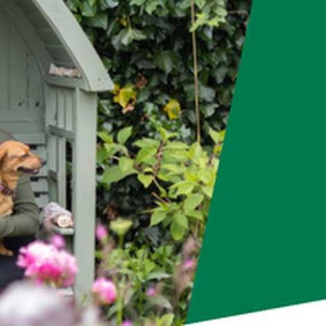 GoodOaks Homecare – Luton and Dunstable - Home Care