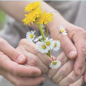 Peninsula Care Ltd - Home Care
