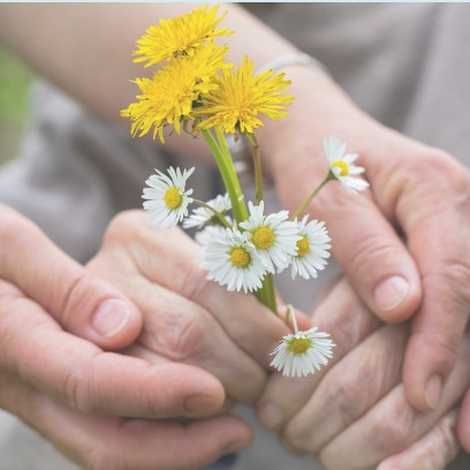Peninsula Care Ltd - Home Care