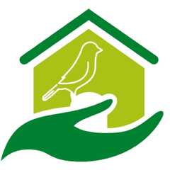 Spinetail Home Care Ltd