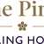 The Pines Nursing Home - Care Home