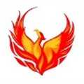 Phoenix Gold Homecare and Support Limited_icon