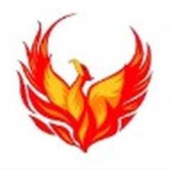 Phoenix Gold Homecare and Support Limited