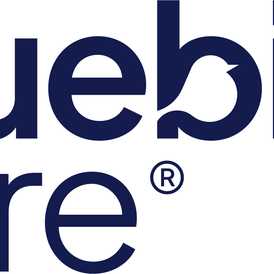 Bluebird Care East Suffolk, Great Yarmouth & Lowestoft (Live-In Care) - Live In Care