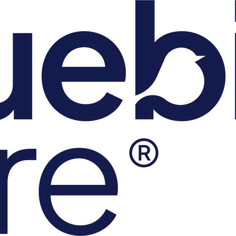 Bluebird Care East Suffolk, Great Yarmouth & Lowestoft (Live-In Care) - Live In Care