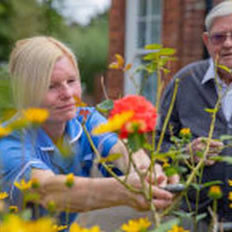 Town and Country Care - Home Care