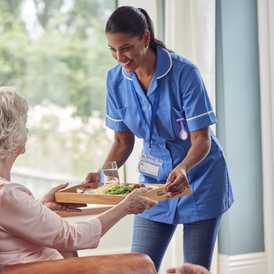 Ideal Care Services (Live-in Care) - Live In Care