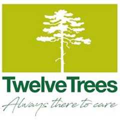 Twelve Trees