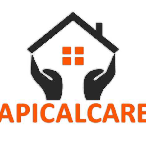 Apical Care Agency Ltd Basingstoke Branch - Home Care