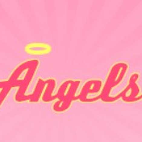 Angels Community Enterprises CIC - Home Care