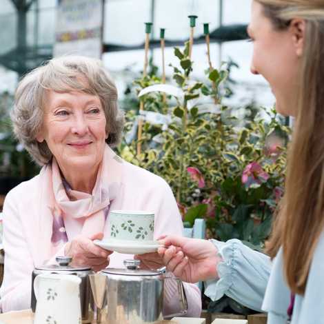 Home Instead Warminster & Gillingham (Live-in Care) - Live In Care