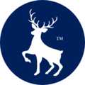 Stag Care Group