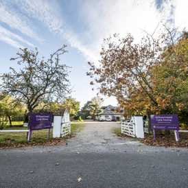 Willowmead Care Home - Care Home