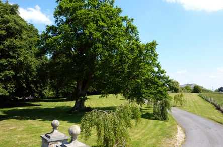 Immacolata House Care Home Langport  - 5