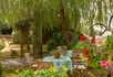 Layston Grove Care Home - 1