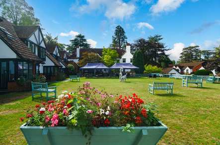 Jackmans Lodge Care Home Woking  - 2