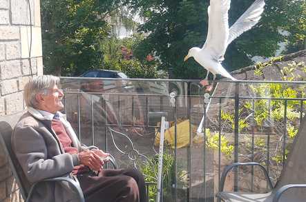 Cambrian Lodge Care Home Portishead  - 5