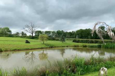 Haresbrook Park Care Home Care Home Tenbury Wells  - 5