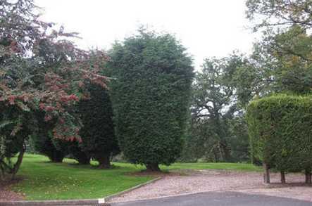 Westley Court Care Home Care Home Kidderminster  - 3