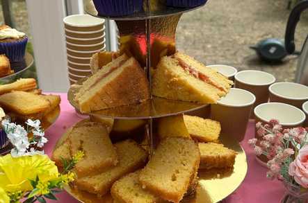 The Firs Care Home Witheridge  - 5