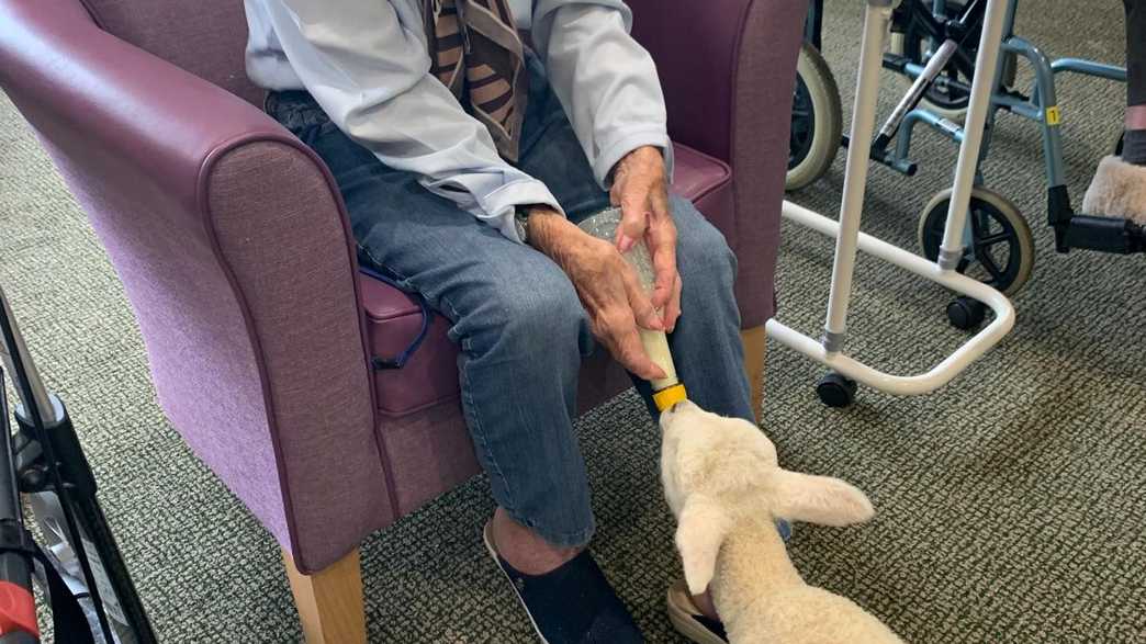 Alfriston Court Care Home Care Home Polegate activities-carousel - 8