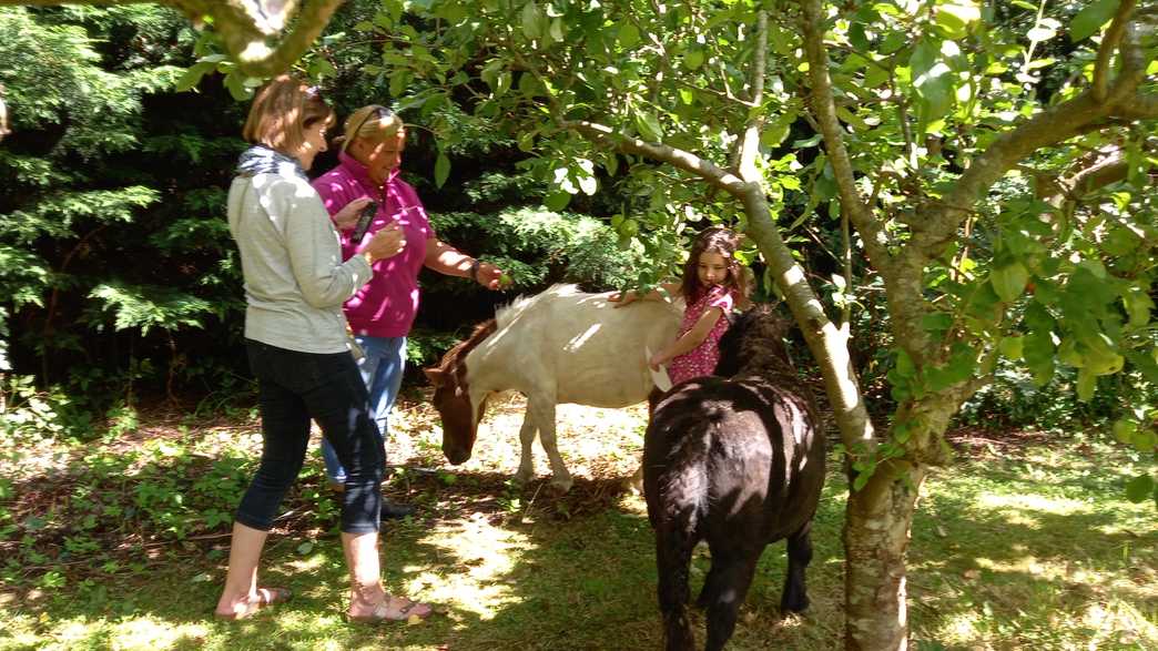 The Old Vicarage Care Home Grange Over Sands activities-carousel - 36