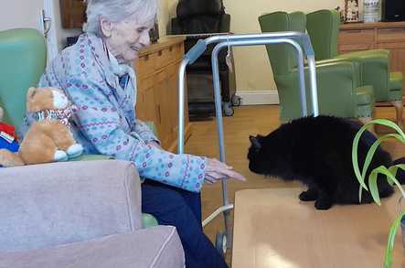 George Potter House Care Home London  - 2