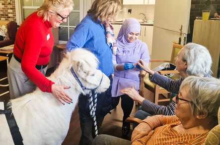 Quinton House Care Home Stratford Upon Avon  - 2