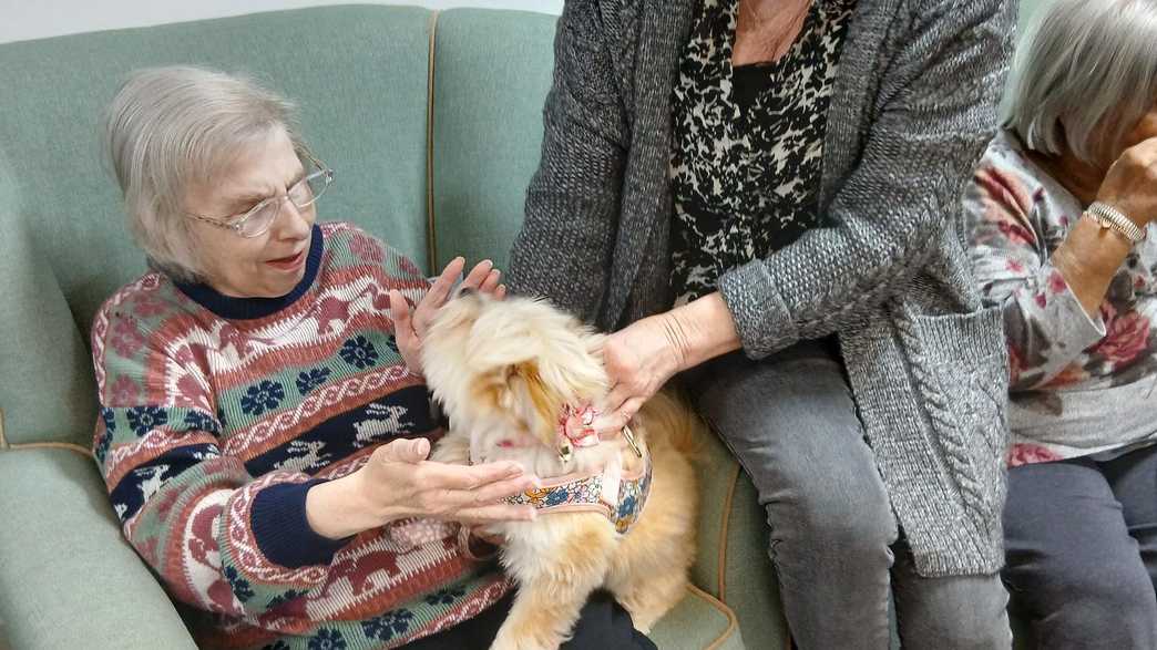 Meadowside Care Home Care Home London activities-carousel - 7