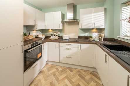 Typical 1 Bed Apartment image 3