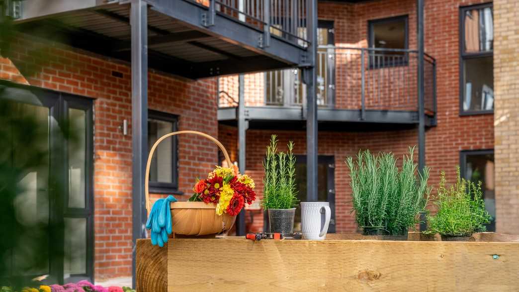 May Tree Place Retirement Living Southampton wellbeing-carousel - 2