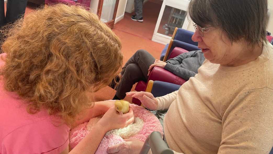 Cambrian Lodge Care Home Portishead activities-carousel - 14