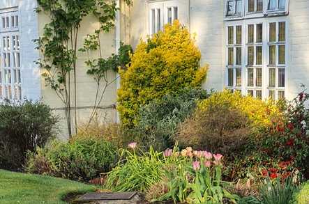 Birtley House Nursing Home Care Home Guildford  - 5